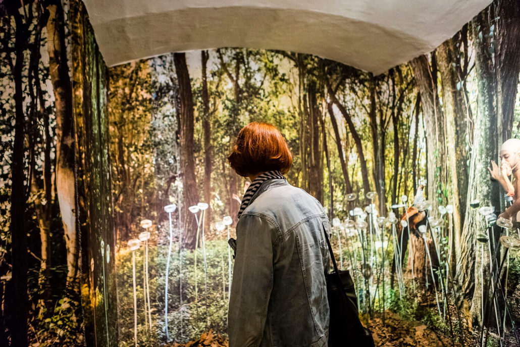 0005_usina_AFS_constantino_20181007__MG_9762