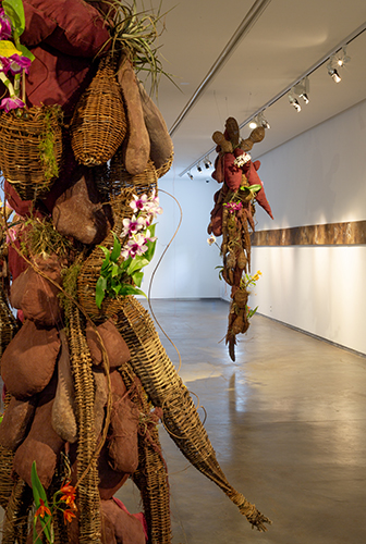 Andres Paredes. Tekopora. Bolsas textiles rellenas, bombas de semillas, lavanda, yerba mate, orquídeas y cestería de Isipó. - Producción Museo Sivori