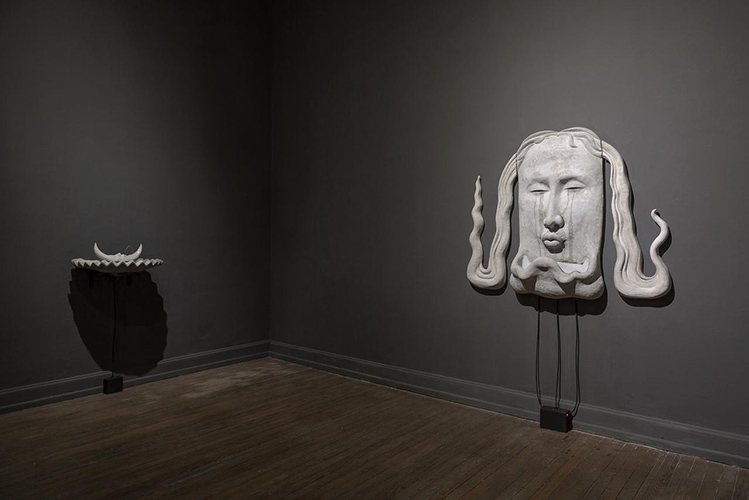 Noelia Correa Foto de sala. Muestra El Jardin II - Pólvora