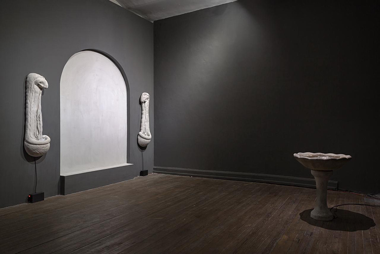 Noelia Correa Foto de sala. Muestra El Jardin - Pólvora