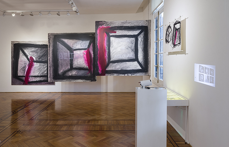 Cápsula Testa 87_2422