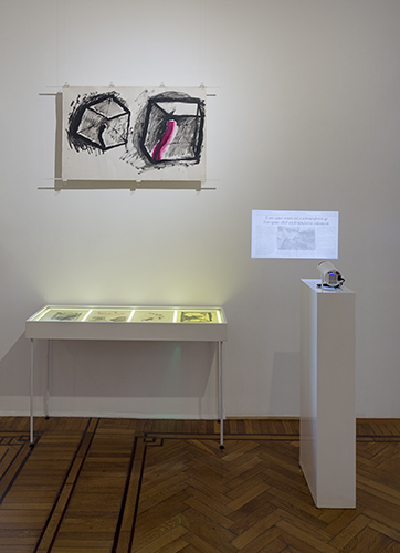 Cápsula Testa 87_2426