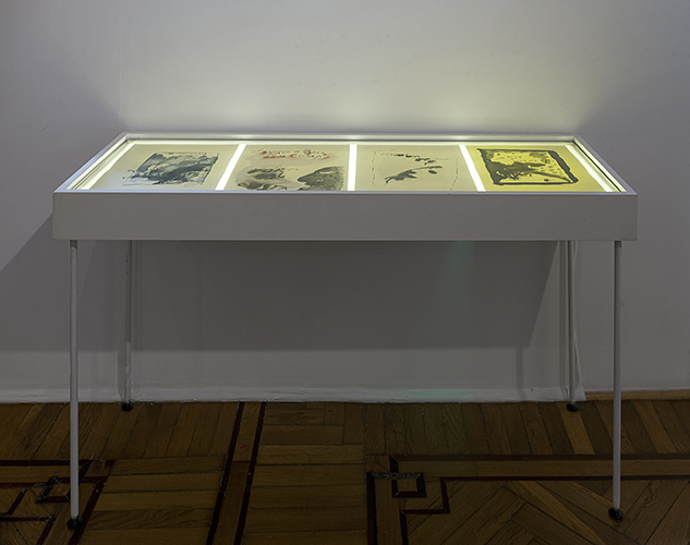 Cápsula Testa 87_2430