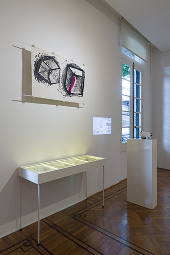 Cápsula Testa 87_2442