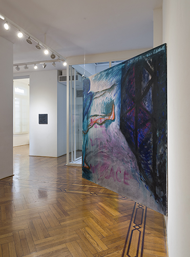 Cápsula Testa 87_2461