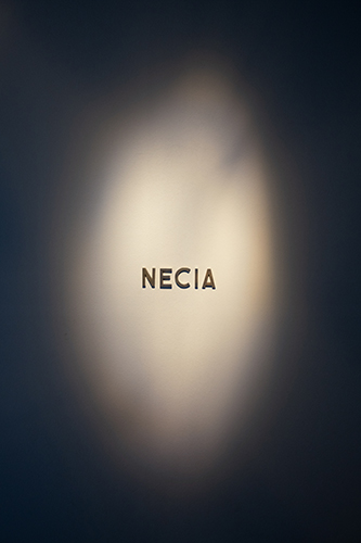 Victoria Boulay_ Necia, 2025, bronce, 13,2 x 4,4 cm.