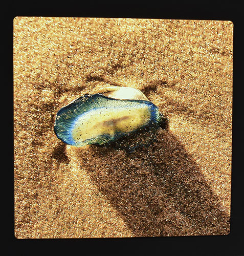 EN LA ARENA - Claudia Aranovich - backlight. 30 x 30 x 3 cm. - 2018