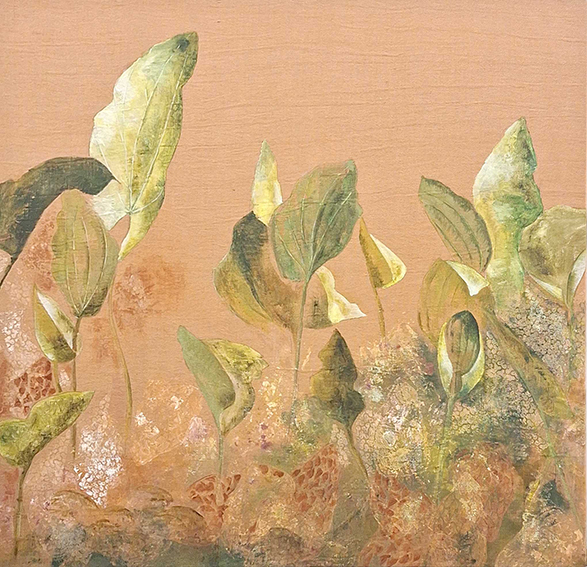 Echesortu Florencia 139x148