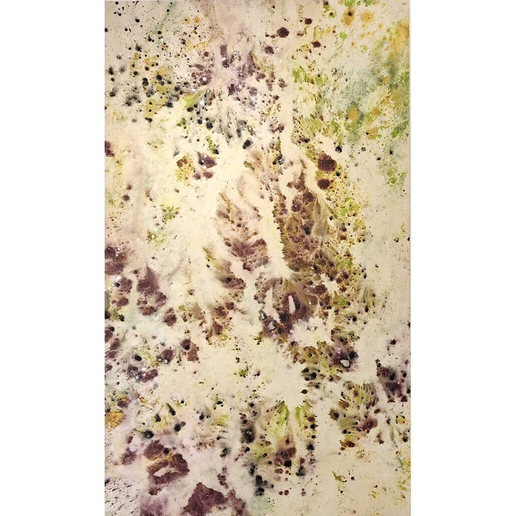 Orlowski Natalia 230x140