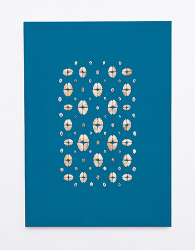 Composición nº1, caracoles sobre papel serigrafiado montado en lienzo, 70 x 50 cm , 2026.