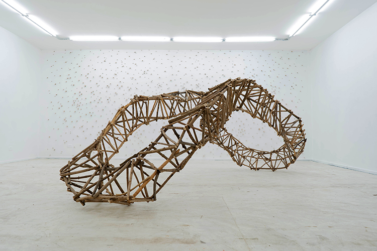 Camilo Guinot_Sin titulo, 2026, Ramas de poda y clavos galvanizados, 440x 180 x 135cm
