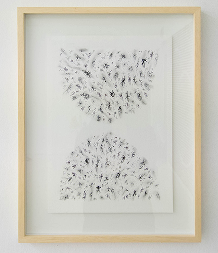 Camilo Guinot_Sin titulo, 2026, Tinta, carbonilla y grafito sobre papel 300 gr, 55 x 43 cm