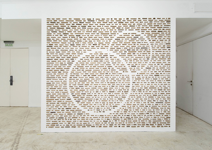 Camilo Guinot_Texto Feral, 2026, trozos de rama de poda, 300 x 300 aprox