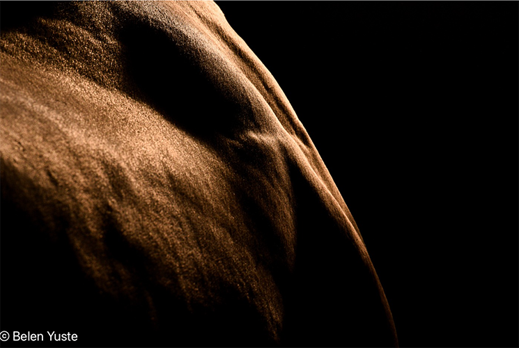 Serena 100cm x 67cm. Toma directa, impresión Giclée sobre papel Hahnemühlle Photo Rag Metallic de 340 grs . NIKON D750 1_5