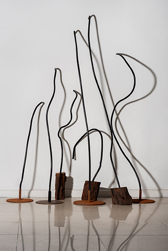 Serie 'Cuál es el límite de una linea. Ensayo 2 Bosque', 2024. CAROLINA DI PAOLA.