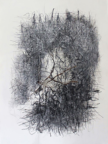 Rarezas II 2024 75x55cm Técnica mixta sobre papel
