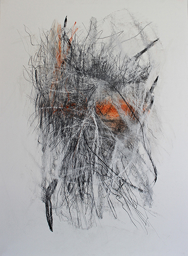 Rarezas I. 75x55cm. T. Mixta sobre papel. 2024