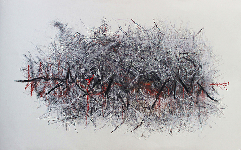 Rarezas IV. 70x114cm. 2025