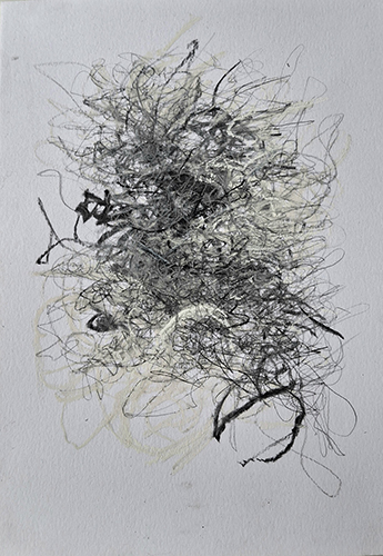 Verdor. Serie Pequeñas certezas. 29x21cm. Técnica mixta sobre papel. 2025