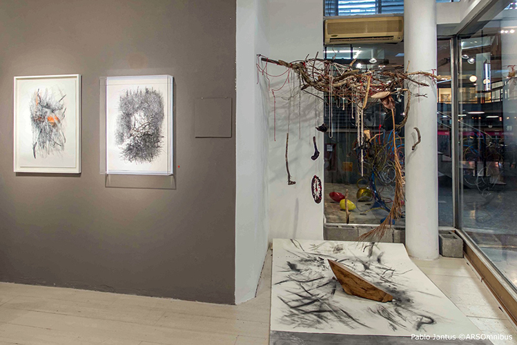 Maria Emilia Marroquin Muestra INSOMNIO VEGETAL
