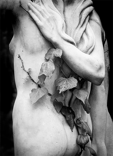 Cecilia Petersen - Hiedra - Fotografía - Digital - Toma directa - 48 x 60 cm. - Impresión Fine Art - 2024