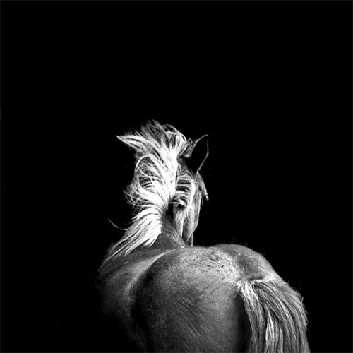 Male Ayerza - Pulso - Fotografía - Digital - Toma directa - 50 x 50 cm. - Impresión Platine - 2026