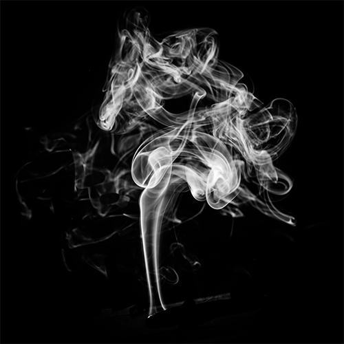Paula Martin - Velos - Fotografía - Digital - 50 x 50 cm. - Impresión Fine Art - 2020